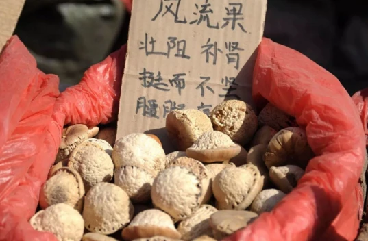 英國威馬為何能成為熱銷壯陽藥?效果與安全性深度解析